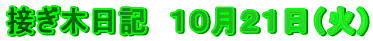 ڂؓL@POQPi΁j
